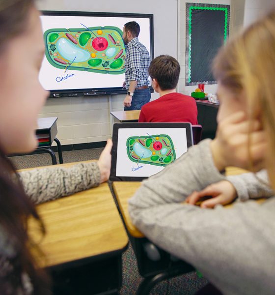 Screen-Share-lifestyle-annotate Remote Learning Interactive Display
